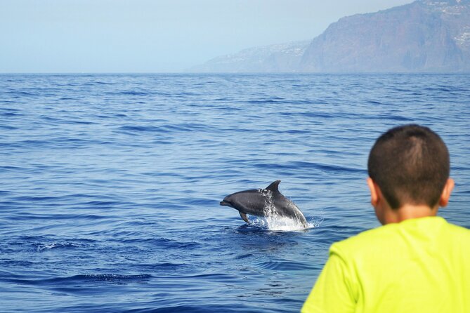VipDolphins Luxury Whale Watching - Group Size and Atmosphere