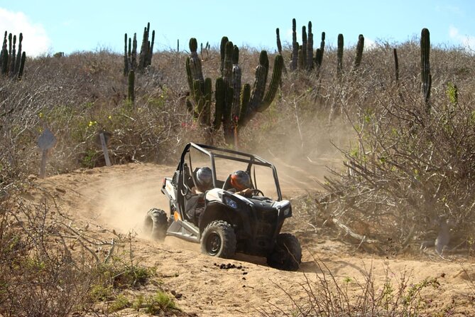 Viper Trail UTV Small-Group Experience in Cabo San Lucas - What You’ll Do During the Tour