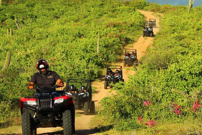 Viper Trail UTV Small-Group Experience in Cabo San Lucas - What Makes This Tour Special