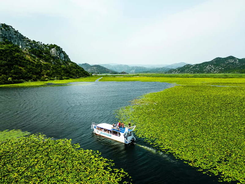 Virpazar: Guided Lake Skadar Cruise and Crnojevia River - Discover the Beauty of Lake Skadar on a Guided Cruise from Virpazar