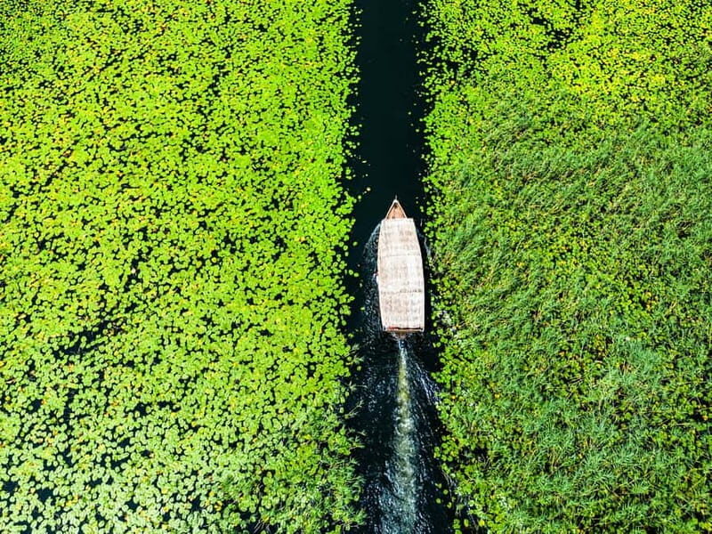 Virpazar: Lake Skadar Private Wildlife Cruise & Wine Tasting - Start at Kingfisher: The Meeting Point in Virpazar
