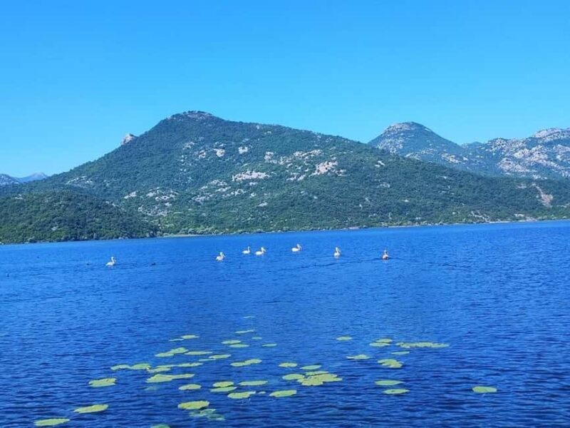 VirpazarSkadar Lake: 2h cruise on a traditional wooden boat - Comparing Similar Experiences and What Sets This Tour Apart