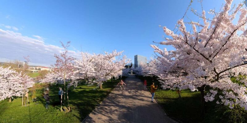 Virtual reality movie - experience I AM LITHUANIA - What Sets "I AM LITHUANIA" Apart from Other Tours