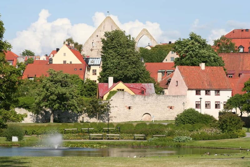 Visby: Hop-On Hop-Off 1 day Bus Tour - Addressing the Limitations and Challenges