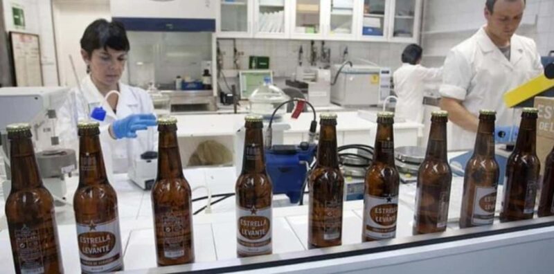 Visit a brewery in Murcia with tasting and tapas included, plus transfer - Who Will Enjoy This Tour Most?