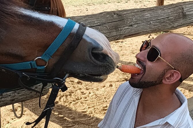 Visit a Farm and Horseback Riding in Nature - The Value of a Horse Riding Experience in Nature