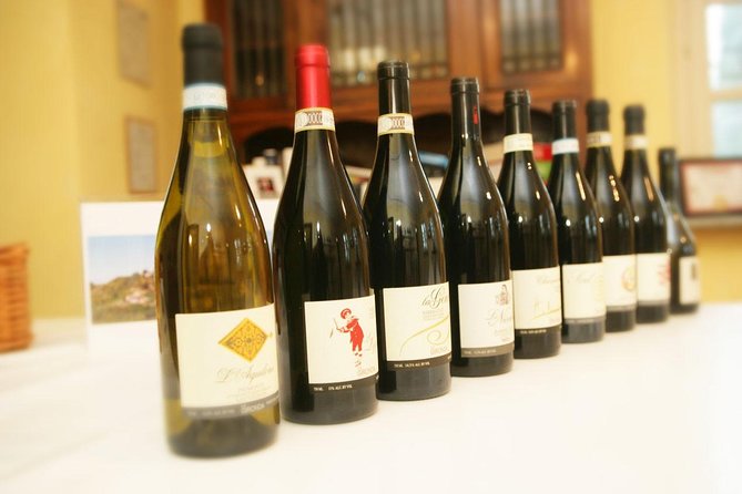 Visit among vineyards and wine cellar with wine tasting in Nizza Monferrato - Tasting Wines in a Scenic Garden Setting