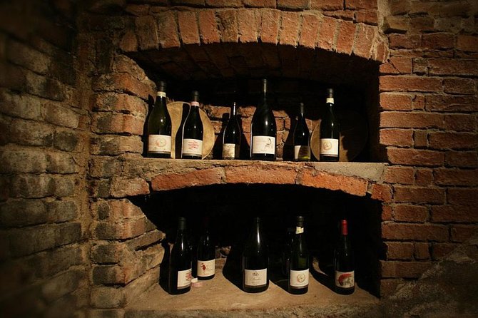 Visit among vineyards and wine cellar with wine tasting in Nizza Monferrato - Accessibility and Practical Details