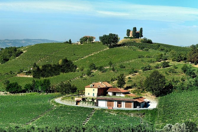 Visit among vineyards and wine cellar with wine tasting in Nizza Monferrato - What Sets This Tour Apart from Others in the Region