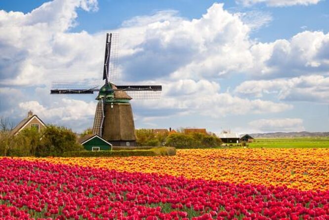 Visit Amsterdam Countryside with windmills by bike - Explore the Dutch Countryside with Windmills and Clogs for $58.11