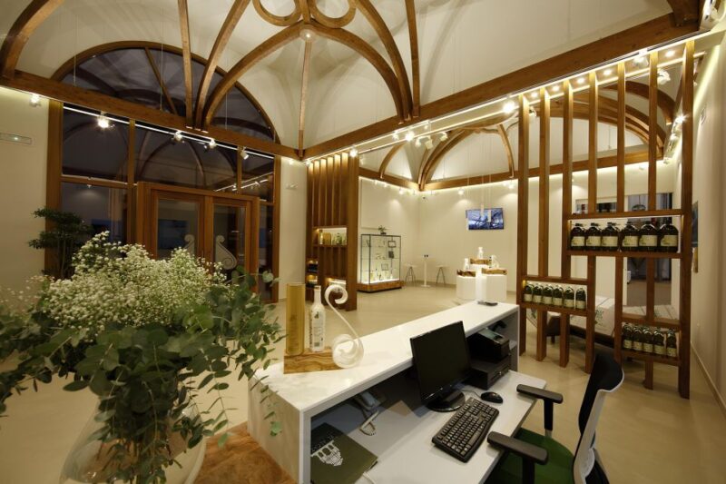 Visit an almazara + extra virgin olive oil tasting: Baeza - The Process of Olive Oil Production