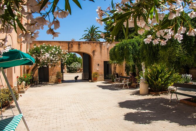 Visit and Private Tasting of EVO Oil and Organic Wine - Discovering Sicilian Oenology and Olive Growing