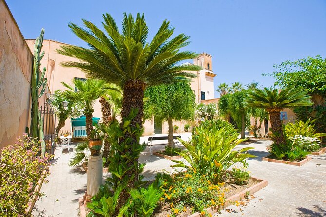 Visit and Private Tasting of EVO Oil and Organic Wine - Flexibility and Planning for Visitors