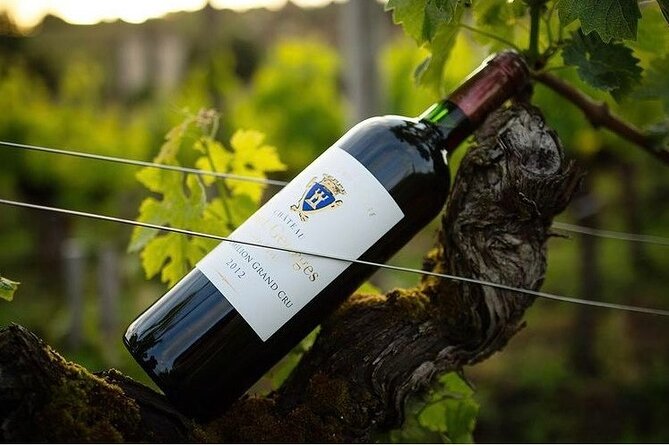 Visit and Tasting Château Saint-Georges Cote Pavie, Grand Cru Classé - The Art of Wine Tasting at Château Saint-Georges