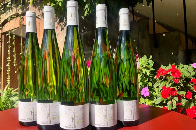 Visit and tasting of wines and cheese and charcuterie platter - The Experience Provider: Domaine Specht