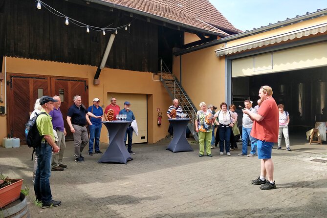 Visit and tasting of wines and cheese and charcuterie platter - The Sum Up: An Authentic, Well-Praised Alsace Experience