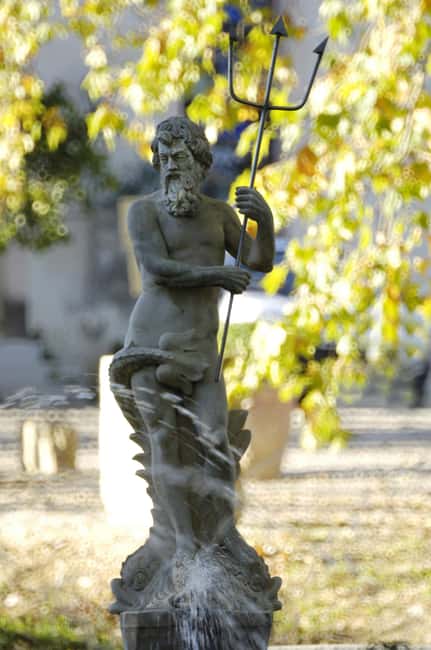 Visit and tasting - The essential - Discover the Charm of Château Capion in Occitanie, France