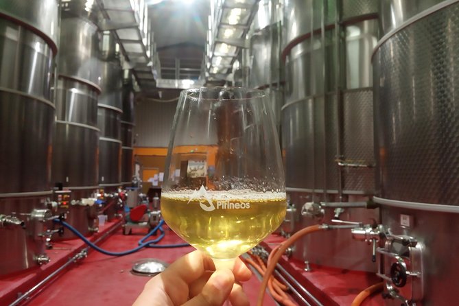 Visit and wine tasting at BODEGA PIRINEOS - The Charm of Bodega Pirineos in Aragón