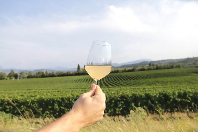 Visit and wine tasting at Tenuta La Cà - Tasting Four Carefully Selected Wines