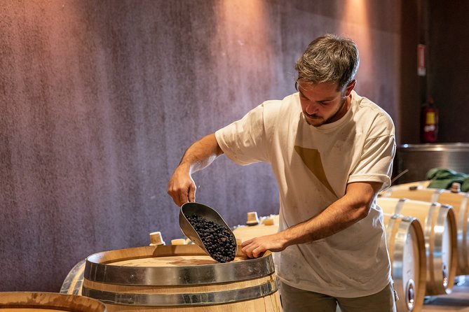 Visit and wine tasting at Tenuta La Cà - Who Will Love This Experience Most