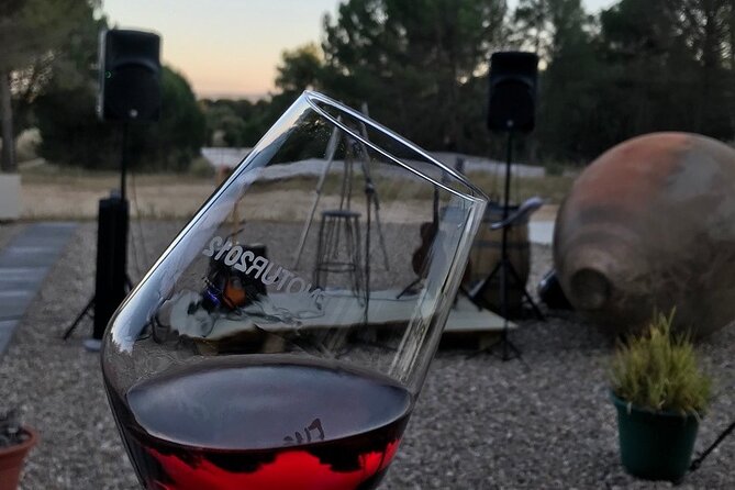 Visit and Wine Tasting at the Territorio Luthier Winery - Explore the Unique Charm of Territorio Luthier Winery in Burgos