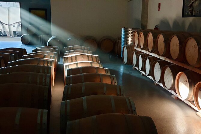 Visit and Wine Tasting at the Territorio Luthier Winery - Discover the Production Rooms and Unique Techniques