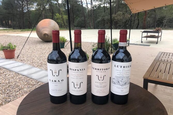 Visit and Wine Tasting at the Territorio Luthier Winery - Practical Details: Meeting Point and Tour Logistics