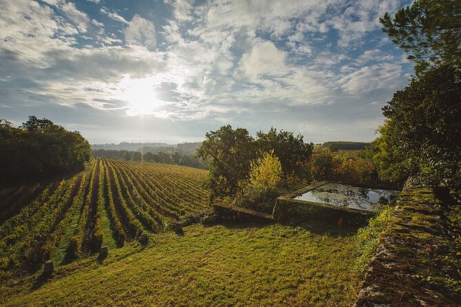 Visit and wine tasting: The Musketeers' wine - The Estate’s Environmental Commitment