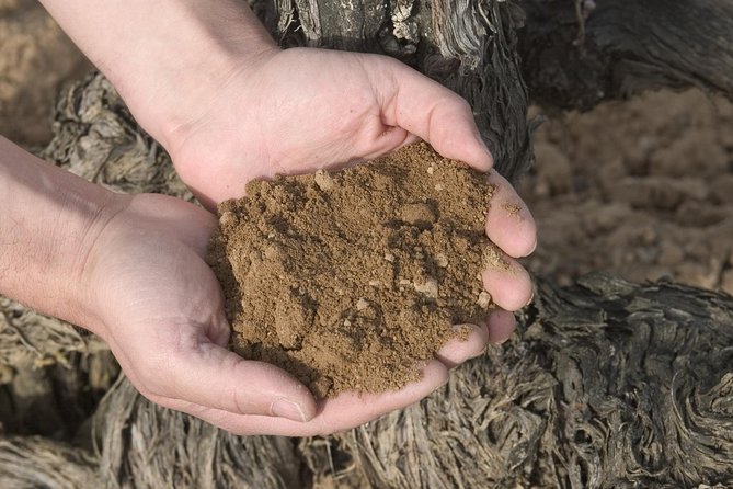 Visit and wine tasting with sausage and BODEGA PIRINEOS cheese - Flexibility and Additional Tasting Opportunities