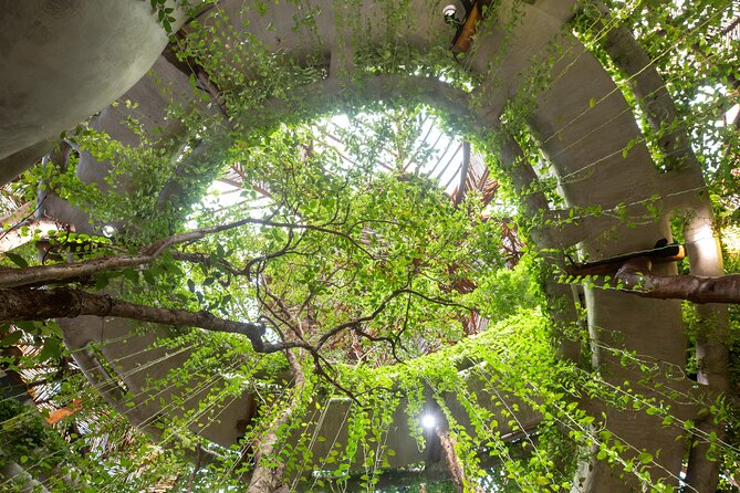 Visit AZULIK SFERIK Museum and Art Gallery in Francisco Uh May - Key Points