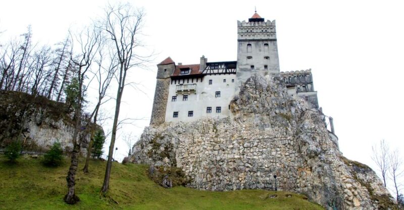 Visit Bear Sanctuary and Bran Castle from Brasov - Explore the Unique Combo of Bran Castle and Bear Sanctuary LiBEARty