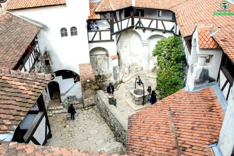 Visit Bear Sanctuary and Bran Castle from Brasov - Discovering the Famous Bran Castle in Transylvania