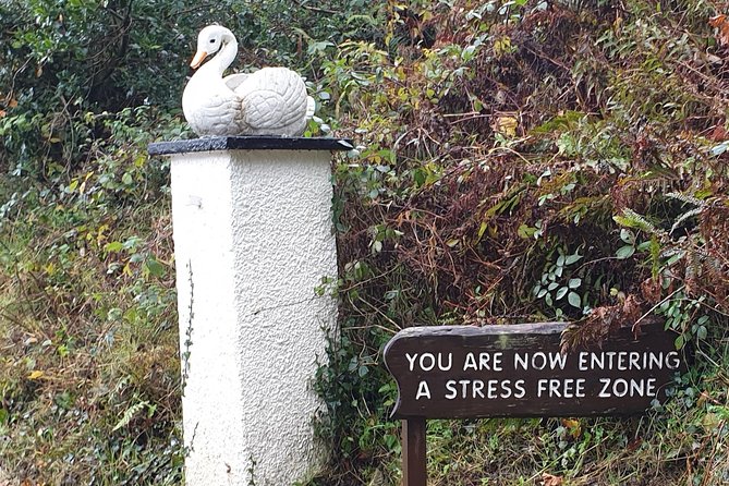 Visit Belfast top attractions in one day - Off-the-Beaten-Path Visit to Glenariff Forest Park