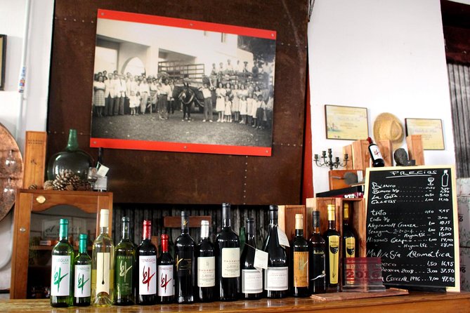 Visit Bodegas Teneguía winery in La Palma with wine Tasting - Timing and Group Size