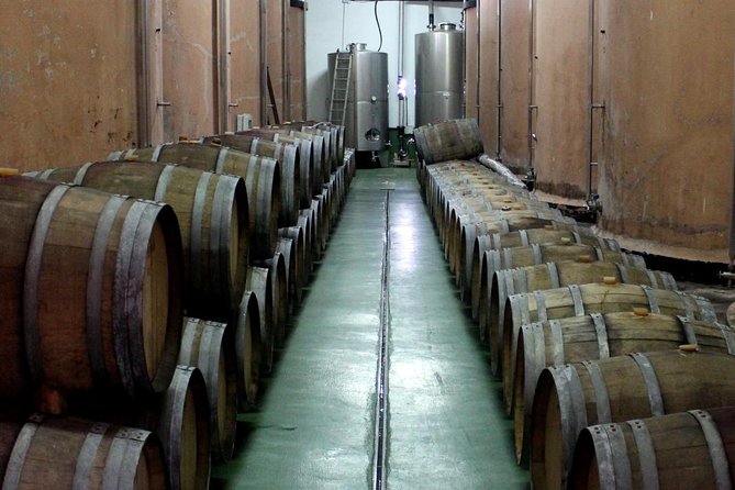 Visit Bodegas Teneguía winery in La Palma with wine Tasting - Who Should Consider This Tour