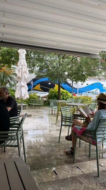 Visit Budva, Kotor and Tivat by private car ( 3 in 1 ) - Key Points