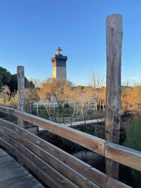 Visit Camargue and Espiguette Lighthouse from Montpellier - Explore the South of France with a 5/5 Guided Day Trip to Camargue and Espiguette Lighthouse