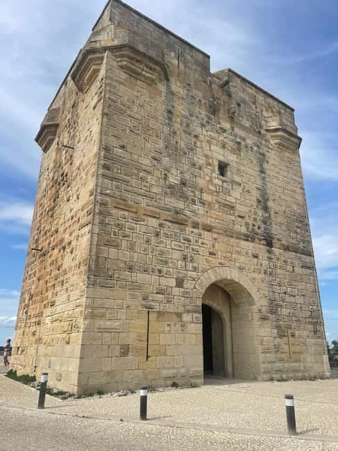 Visit Camargue and Espiguette Lighthouse from Montpellier - Who Will Enjoy This Tour?