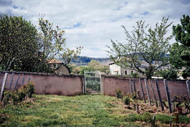 Visit : Château du Moulin-à-Vent, where time is an ally - Experience the Charm of Château du Moulin-à-Vent for $92