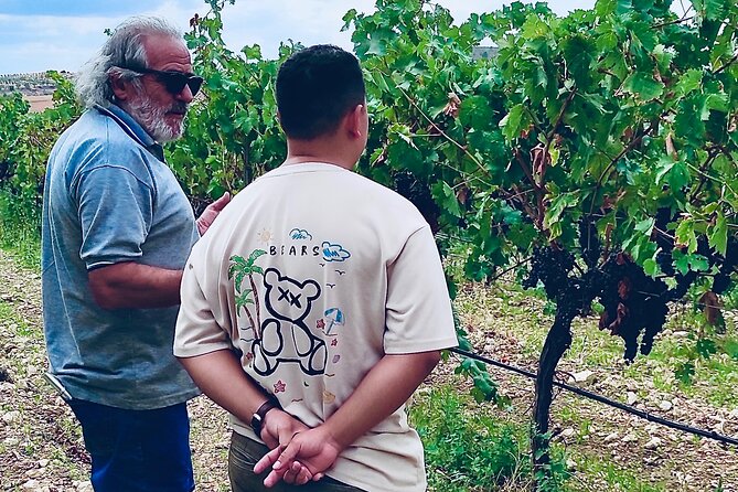 Visit Cuenca and a Vineyard in Spanish Tuscany from Madrid - Exploring Cuenca’s Historic Walled Town and Medieval Marvels