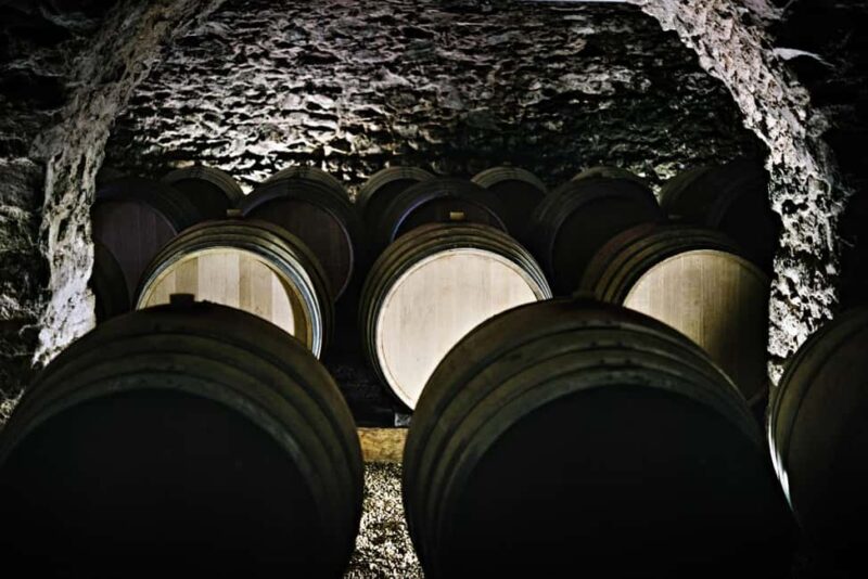 Visit : From Château des Thorins to Château du Moulin-à-Vent - Exploring the Diversity of the Beaujolais Terroirs