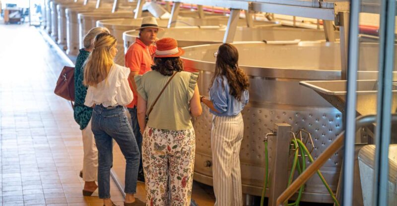 Visit Herdade da Comporta Winery - The Inside Look at Wine Production