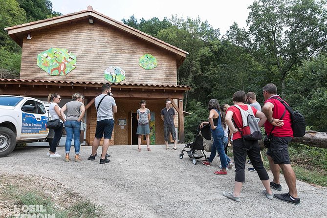 Visit - immersion in the heart of the bee world! - The Location: A Lively Organic Honey Farm in Saint-Affrique