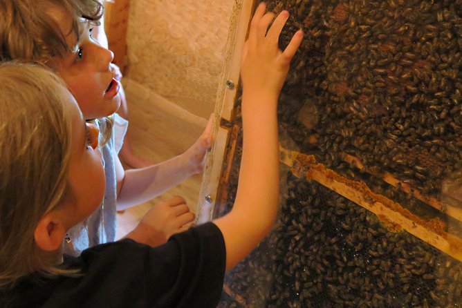 Visit - immersion in the heart of the bee world! - The Expertise and Passion of Nadia and Bruno