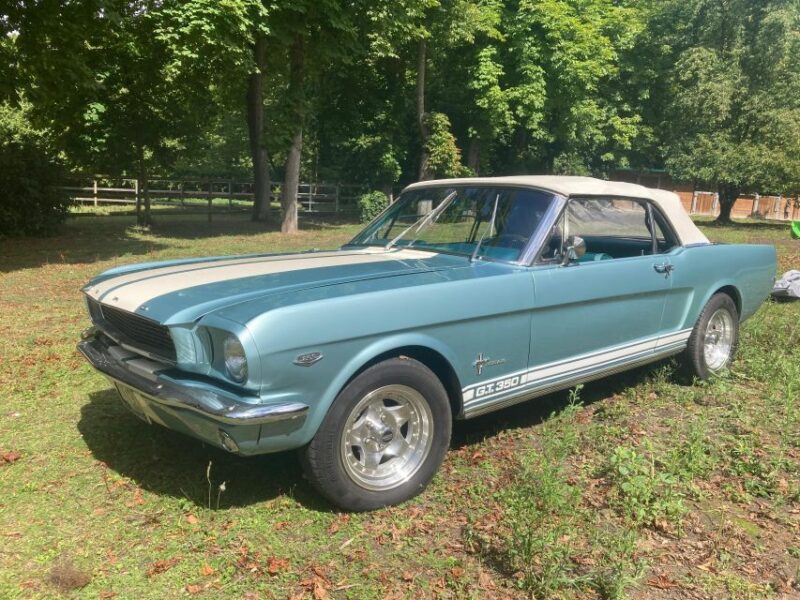 Visit in classic car Paris Chantilly Versailles Auvers - The Vintage Car and Its Charm