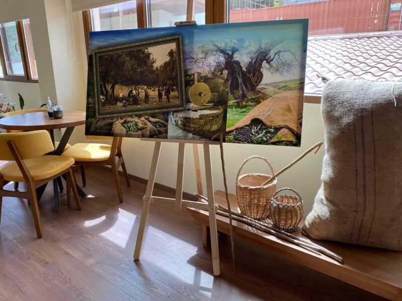 Visit Knossos and the Valley of Zeus - Exploring Crete’s Mythical Palace of Knossos and Its Secrets