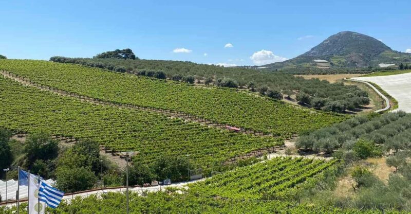 Visit Knossos and the Valley of Zeus - Cost and Value for Money