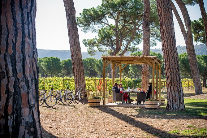 Visit La Joya Escondida de la Ribera del Duero Winery - Wine Tasting and Food Pairing at Finca Villacreces