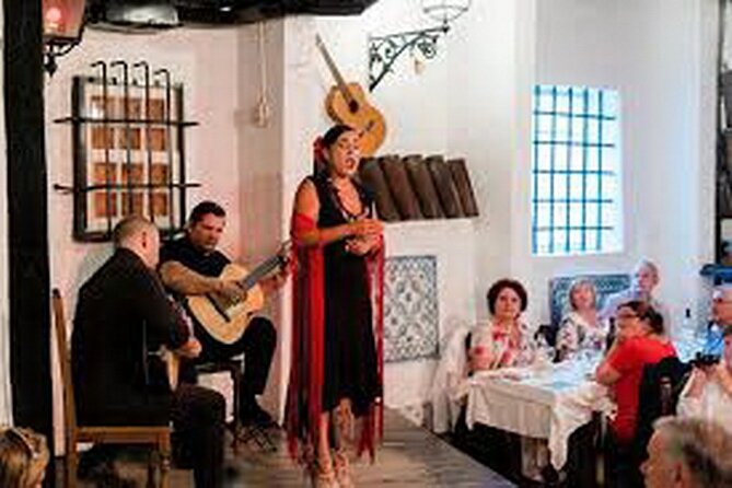 Visit Lisbon at night with dinner and Fados, on private tour - Key Points