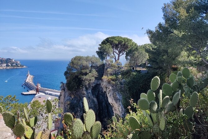 Visit Nice in 2h with Local Certified Guide - Practical Details and Accessibility